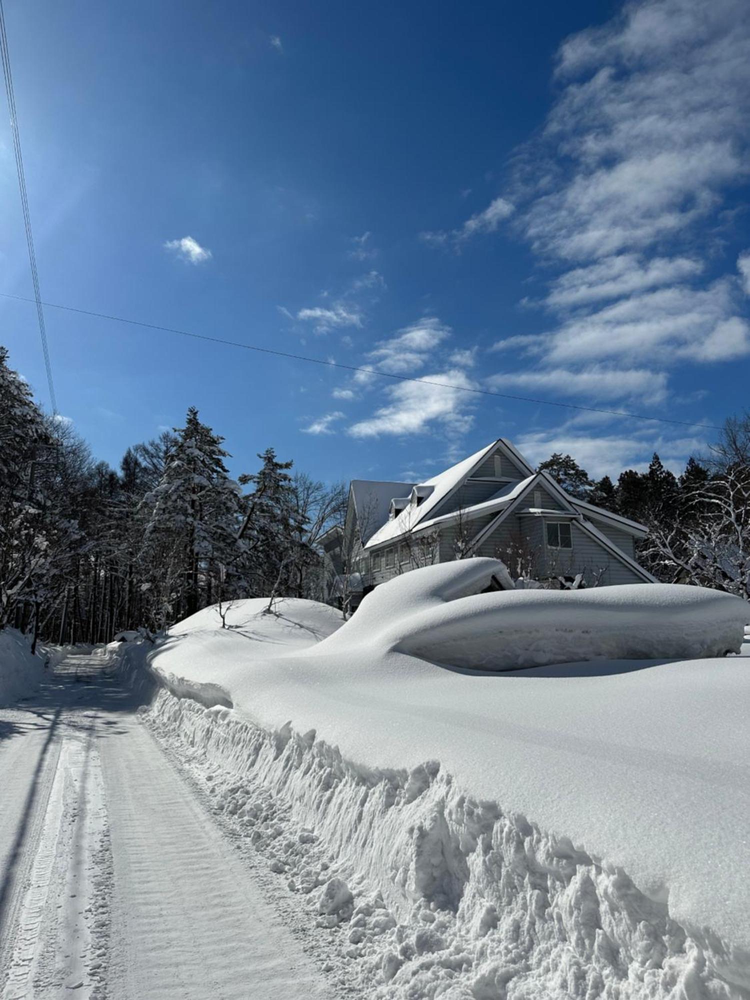 Natural Hot Spring Hakuba Symphony Exterior foto